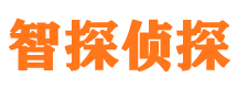 额济纳旗市调查公司